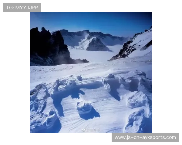 凯尔特人全面布局北美市场，携手商业伙伴开启新篇章