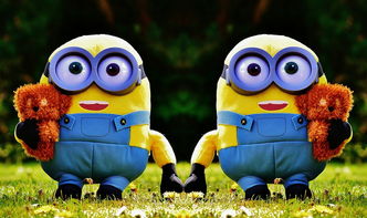 爱游戏体育app-全国青少年趣味运动会趣味盎然，欢乐无限，2020年趣味运动会