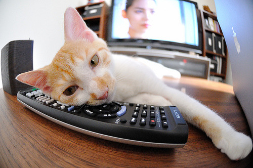 爱游戏体育入口-国足得分环节执行力评分模型，足球 赛后评分