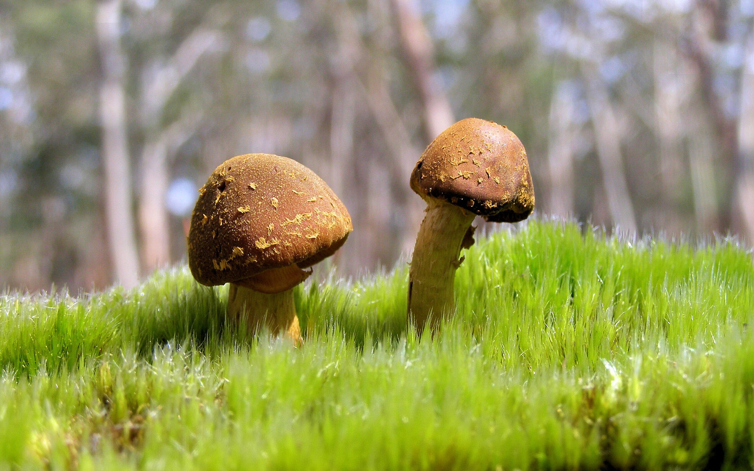 爱游戏app下载-次世代巨星崛起：五大联赛新一代“希望之星”