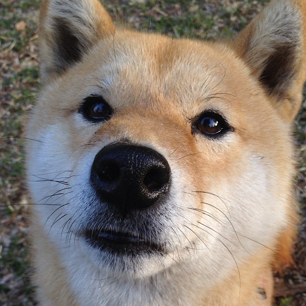 爱游戏入口-体育新闻中心推广体育赛事短视频版权保护技术,如何创意体育类短视频 第1张 爱游戏入口-体育新闻中心推广体育赛事短视频版权保护技术,如何创意体育类短视频 第1张