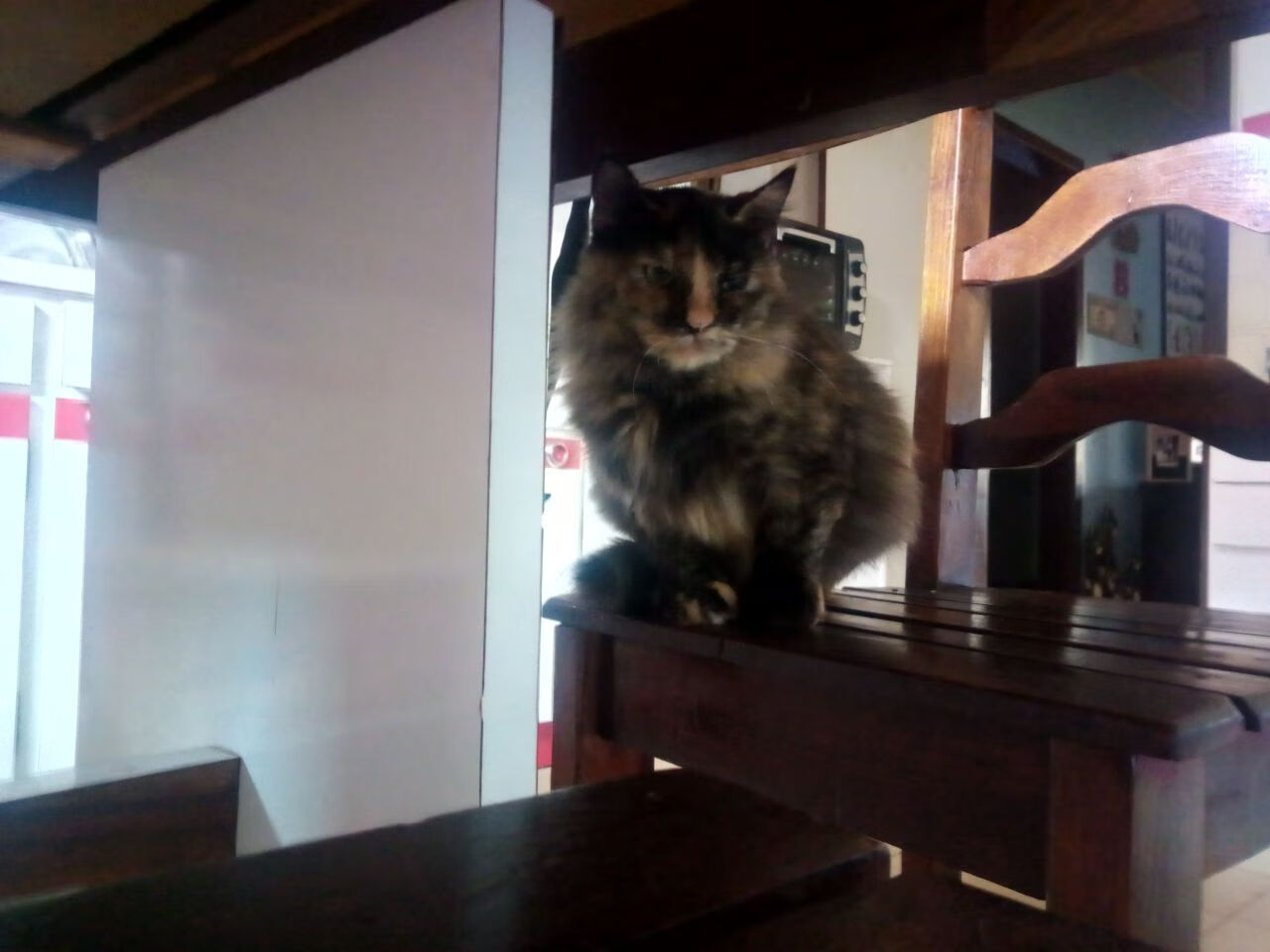 爱游戏app活动-中国足球联赛裁判技术辅助系统升级，中国足球裁判员注册系统