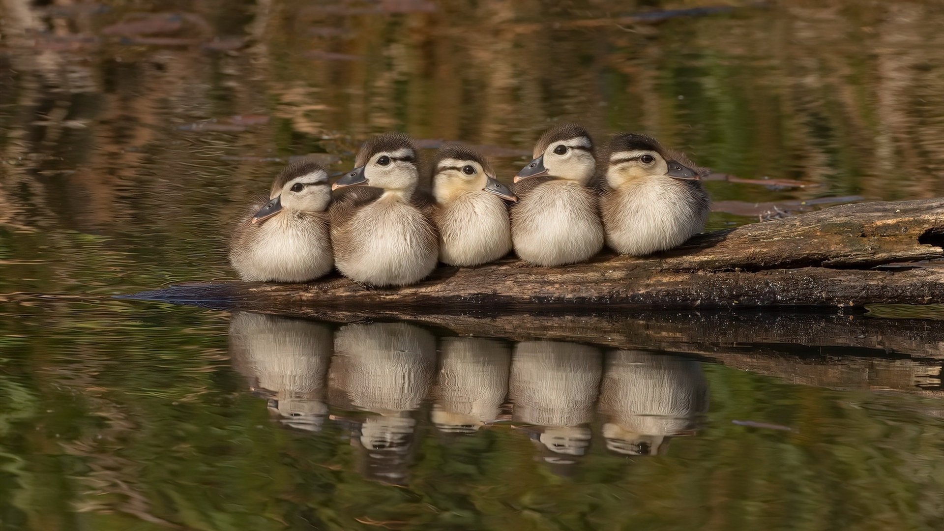 爱游戏官网app-体育教育与学科融合课程落地多所高校，体育多学科融合案例