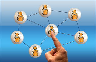 爱游戏体育下载-国际青少年足球交流不断深化，行业合作迈上新台阶，国际青少年足球邀请赛