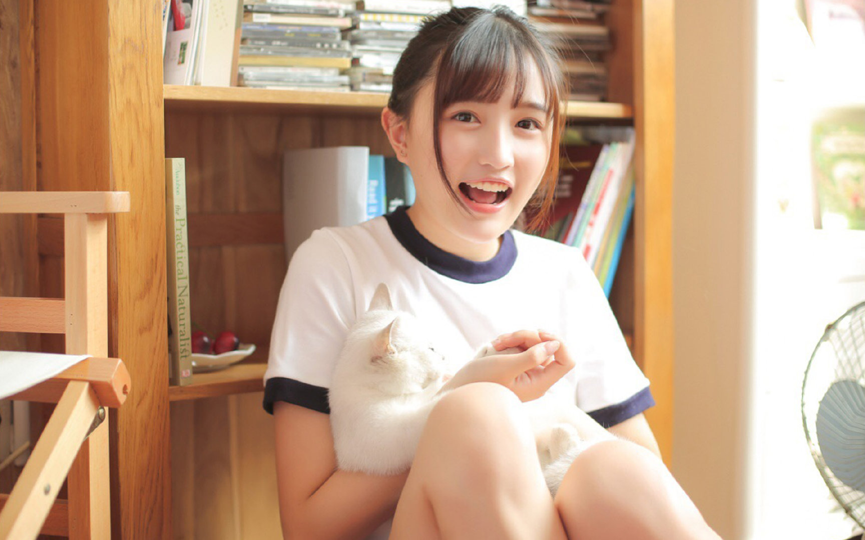 爱游戏ayx-威尔士橄榄球赛事转播吸引观众，市场份额逐年攀升，威尔士 球队