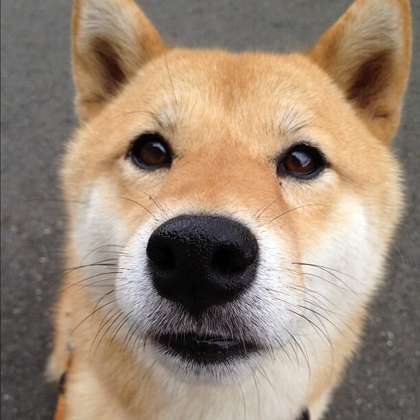 爱游戏体育下载-德甲攻守大战：策略和力量的激情碰撞，德甲战术