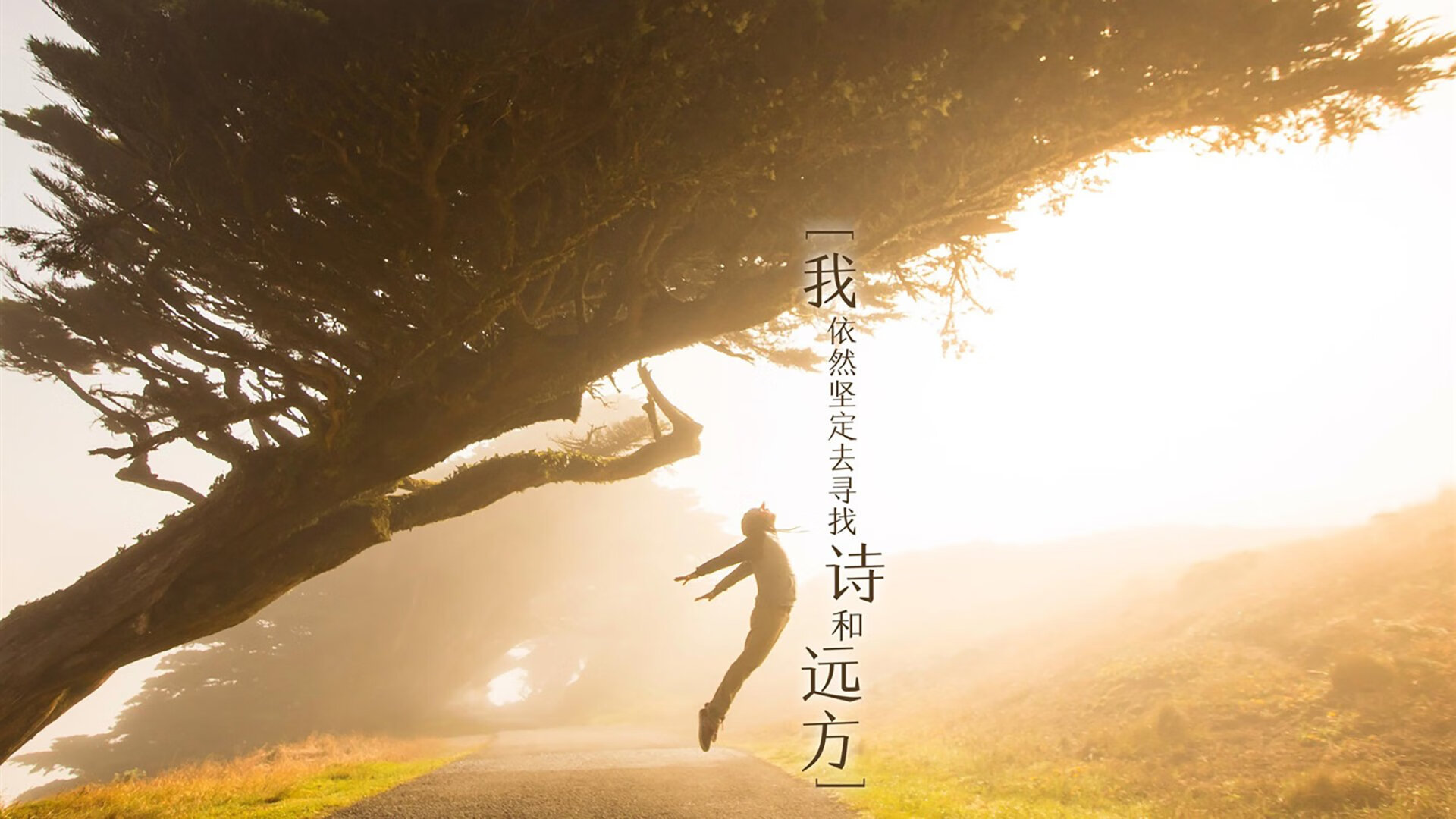 爱游戏-澳大利亚青少年橄榄球赛事激发年轻球员潜力,澳大利亚国家橄榄球联赛