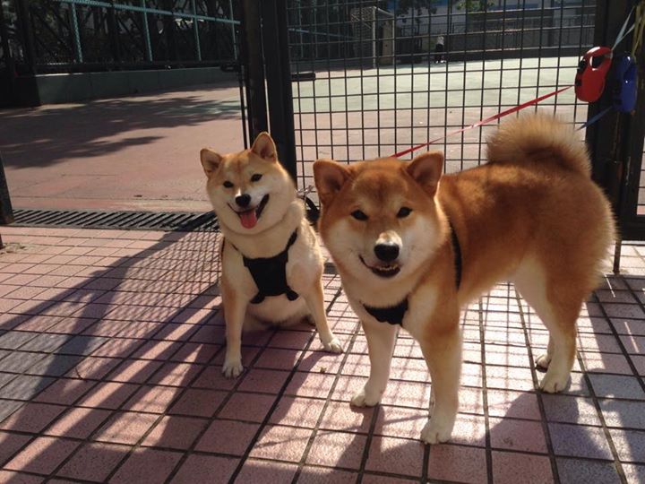 爱游戏平台-特色足球主题的城市文化夜市快速兴起，带动夜经济，足球城是哪个城市的别称  第1张