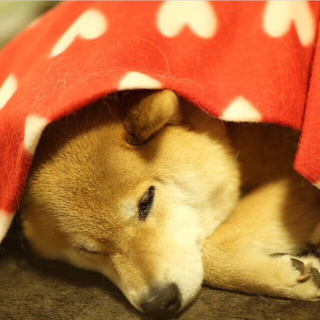 爱游戏体育官网-职业俱乐部启动家庭日活动加强球员与家庭沟通，足球职业俱乐部运营方案