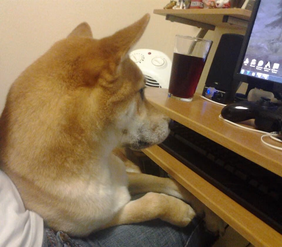 爱游戏官网充值-英超终极较量：精彩场场不容错过！，英超集锦